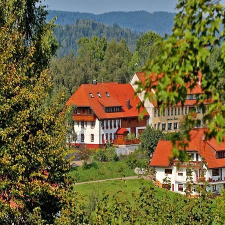 Haus Schlageter Lejlighed Dachsberg im Schwarzwald Eksteriør billede