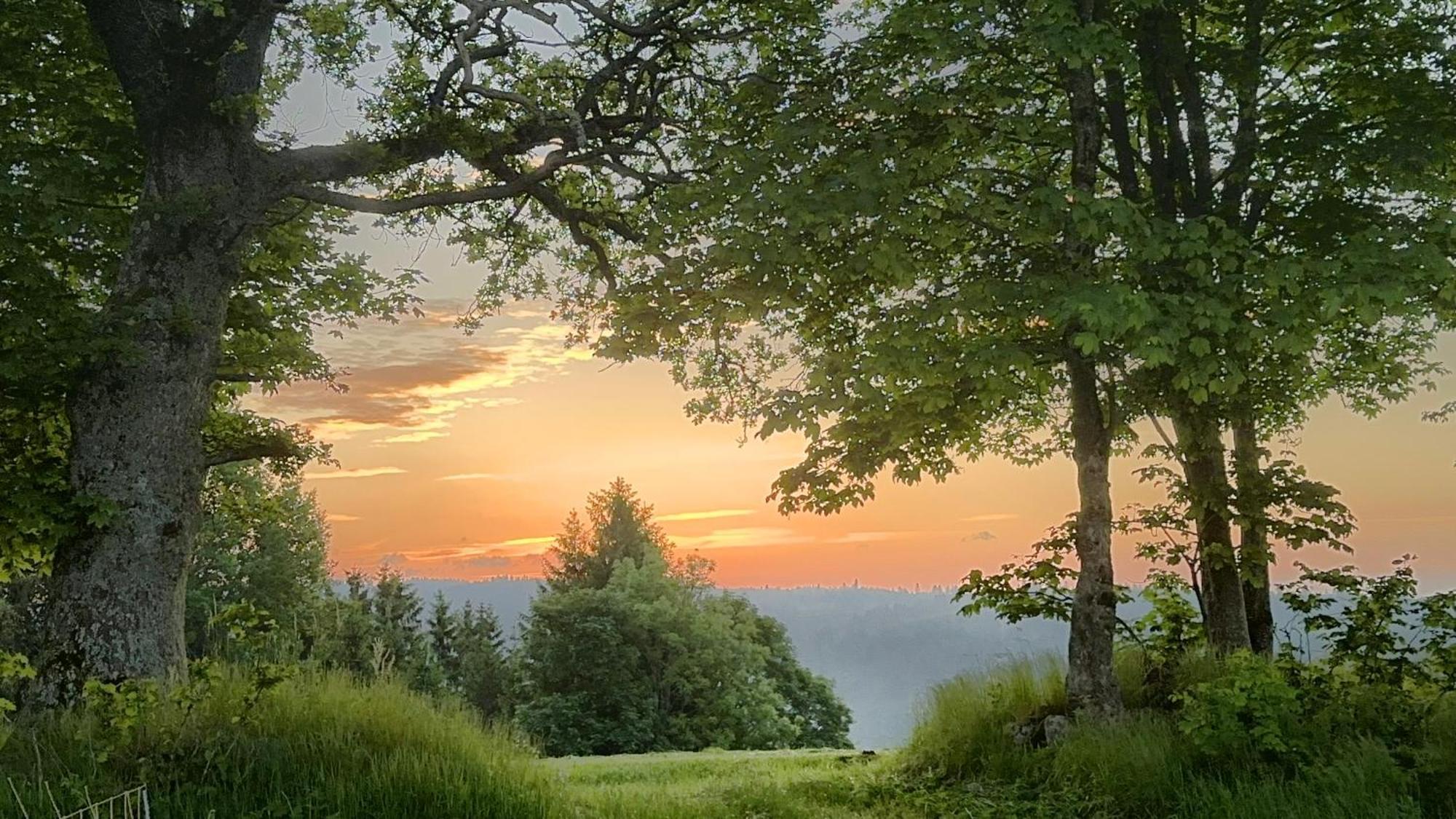 Haus Schlageter Lejlighed Dachsberg im Schwarzwald Eksteriør billede