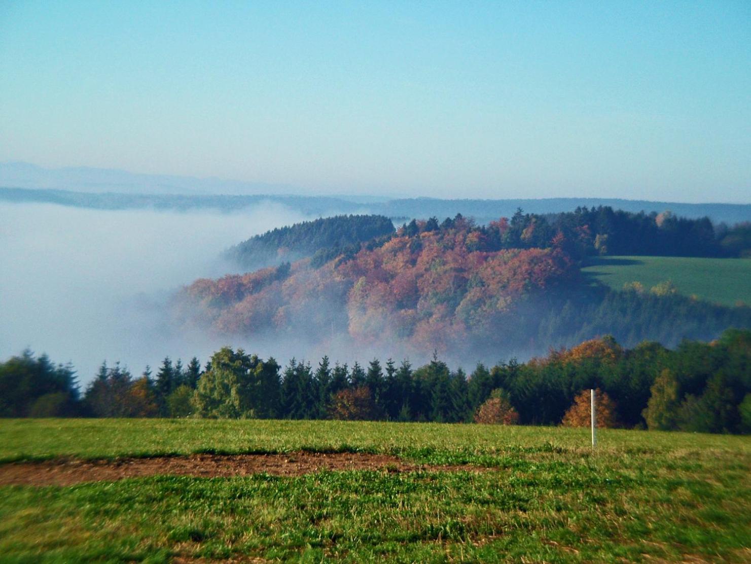 Haus Schlageter Lejlighed Dachsberg im Schwarzwald Eksteriør billede