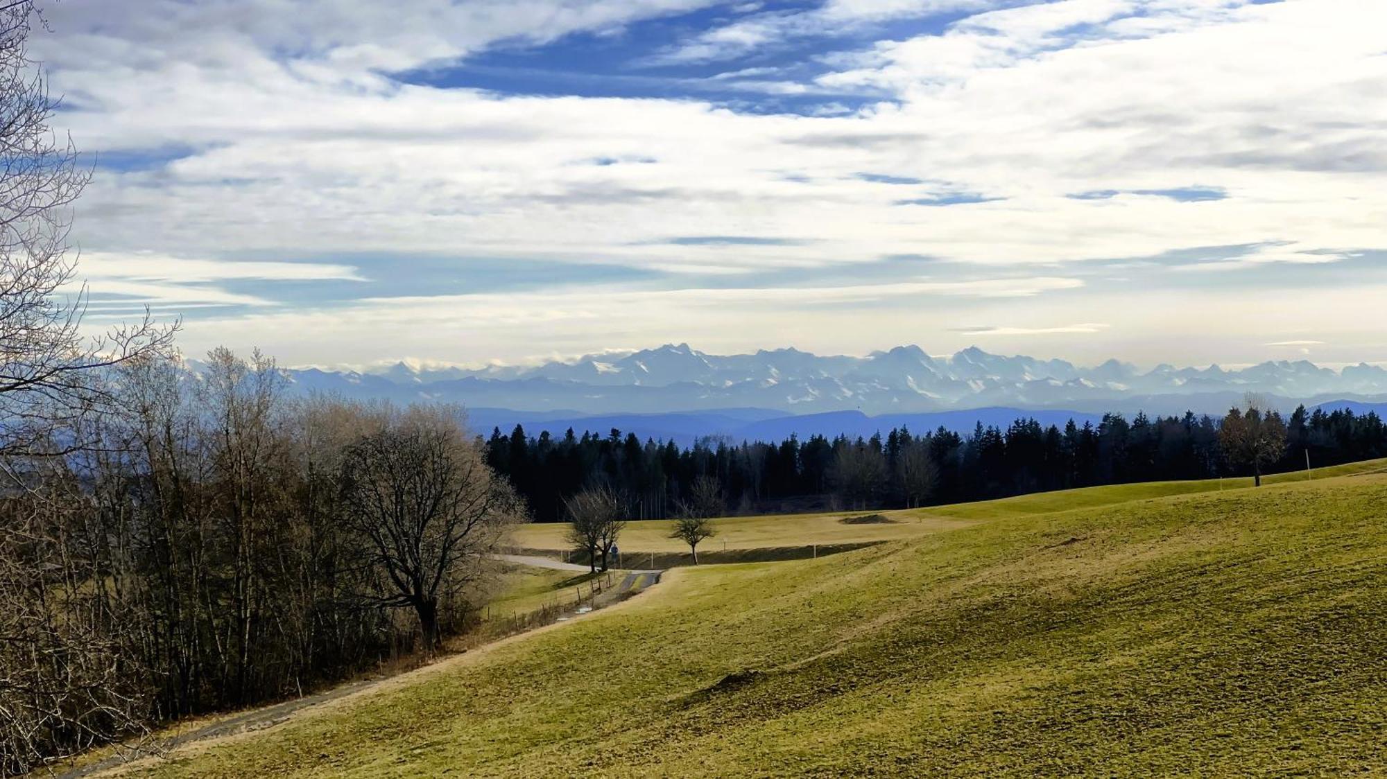 Haus Schlageter Lejlighed Dachsberg im Schwarzwald Eksteriør billede