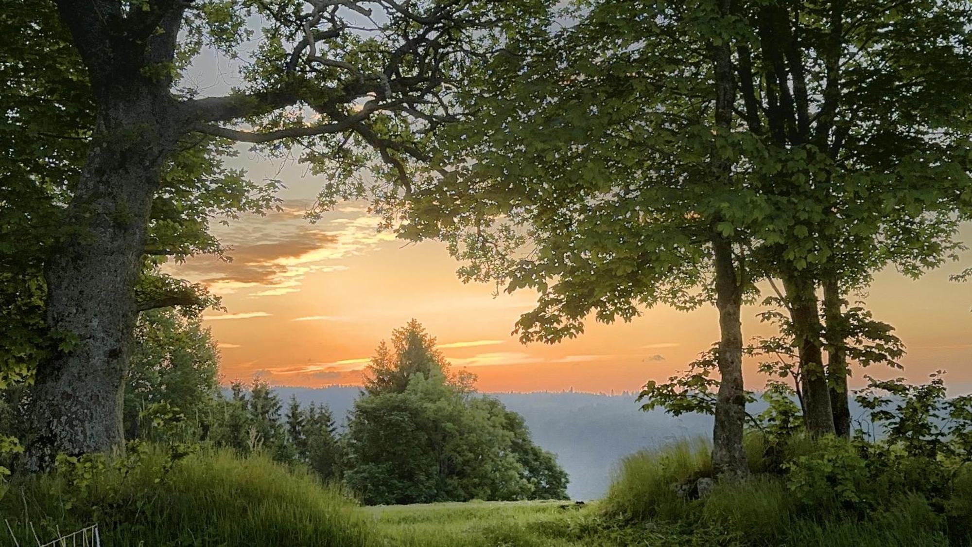 Haus Schlageter Lejlighed Dachsberg im Schwarzwald Eksteriør billede