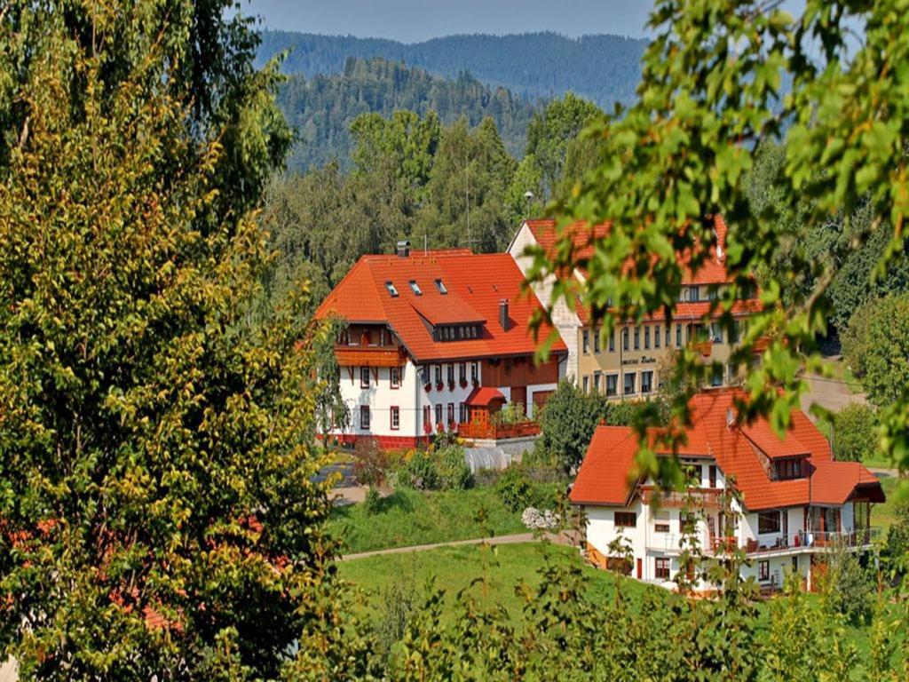 Haus Schlageter Lejlighed Dachsberg im Schwarzwald Eksteriør billede